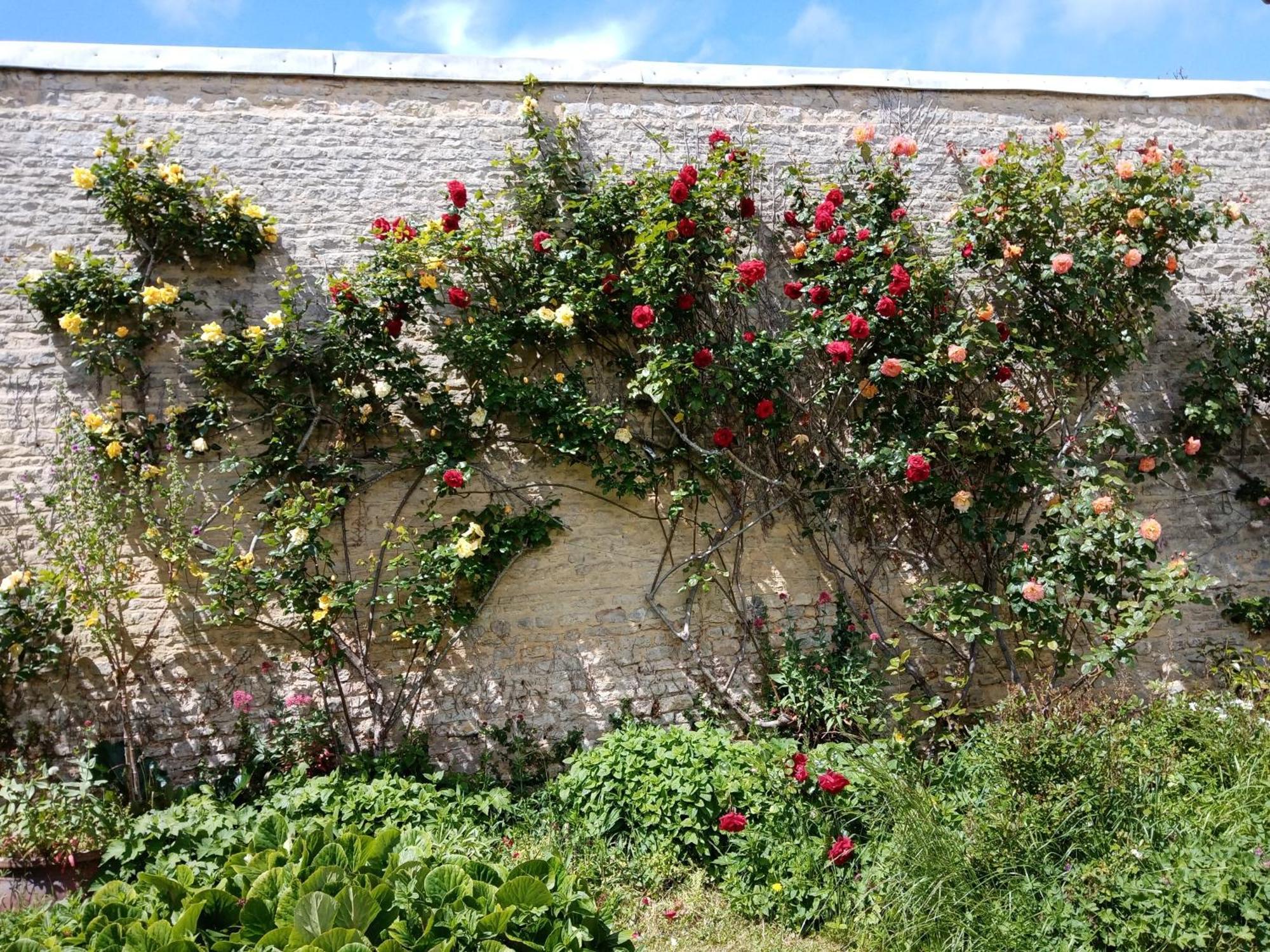 Rose Garden Bayeux B&B 외부 사진