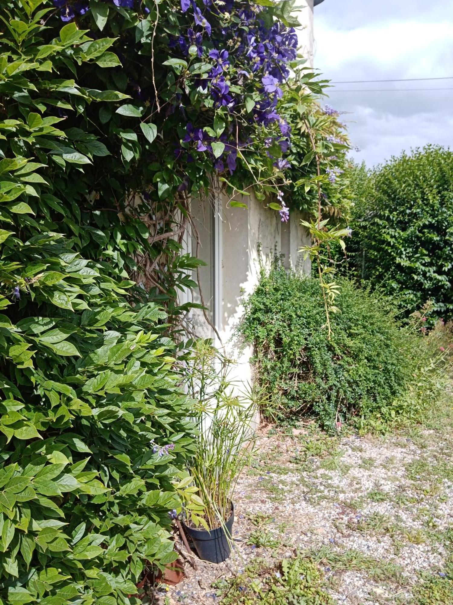 Rose Garden Bayeux B&B 외부 사진